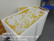 Beyaz Gıda Sınıfı İstiflenebilir Plastik Tepsiler / Soğutma Tepsisi 762*495*55mm