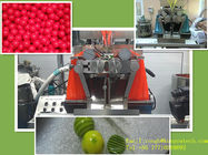 Softgel kapsülleme makinesi yağı ve sıvı kapsül için Laboratuvar İlaç Makineleri