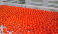 Ø 80 X 100 Paintball Kalıp Rulo / Korozyon Dirençli Kapsül Kalıbı