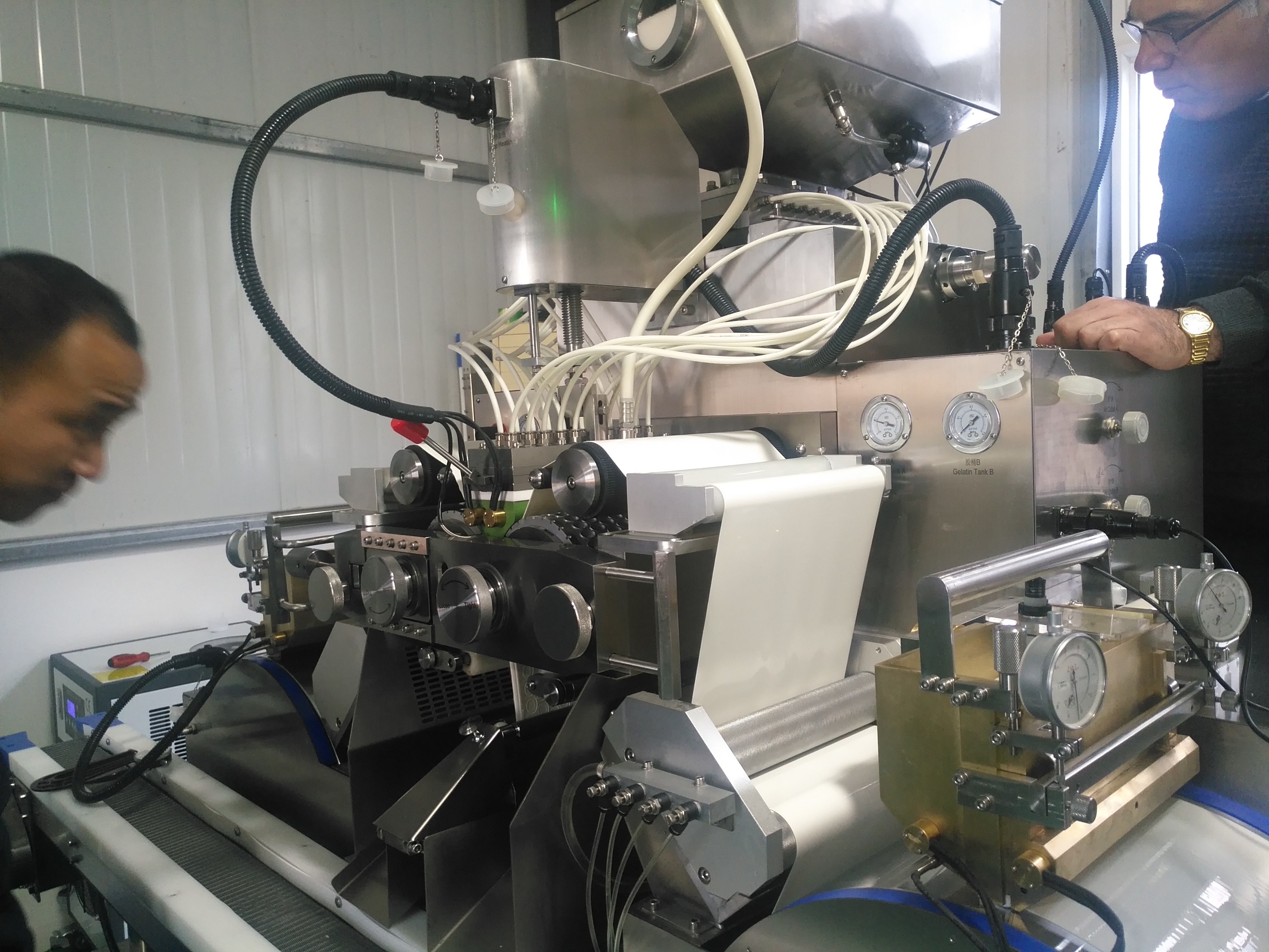 Yumuşak Kapsül Yapımı İçin Paslanmaz Çelik Softgel Kapsülleme Makinesi 1 Yıl Garanti