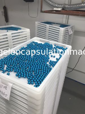 Dokunmatik Ekranlı Düşük Gürültülü PLC Kontrol Paintball Kapsülleme Makinesi