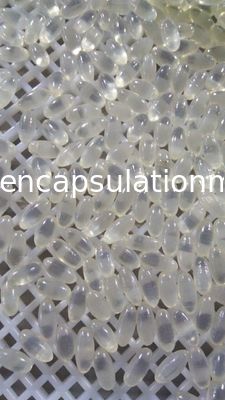 3Kw Farmasötik Softgel Dolum Makinesi Kapsül Üretim Makinesi