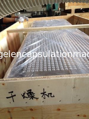 Tamburlu kurutucu Softgel Net Otomatik Dolumlu kurutma SUS 580 * 600mm