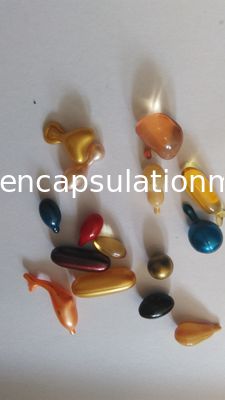 50000 - 70000 Kapsül / H için Bitkisel Jelatin Softgel Kapsülleme Makinesi