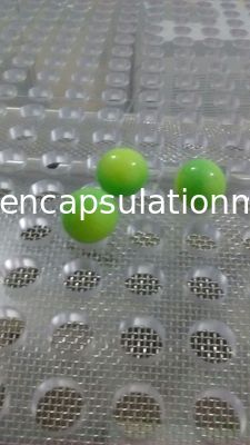 Otomatik Softgel Kapsülleme Makinesi Painball Yapma Makinesi