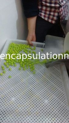 Elektrikli Paintball Maker Makinesi Softgel Yüksek Verimli Kapsülleme Büyük Ölçekli