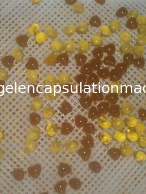 Bal / Cbd Yağ Kapsülü için Mikro Ölçekli Otomatik Vgel Kapsülleme Makinesi