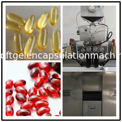Krill Yağı Üretimi İçin Jelatin Eritme Sistemli S403 Yumuşak Jelatin Kapsülleme Makinesi
