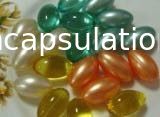 Yumuşak Kapsül ve Paintball Kapsülleme Üretimi İçin Softgel Sertlik Test Cihazı