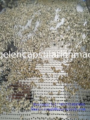 380V / 220V Yumuşak Jelatin Kapsülleme Makinesi, 1 Yıl Garantili Sorunsuz