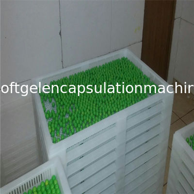 Kapsül Şeker Kurutma için Gıda Sınıfı Metal / Plastik Kurutma Tepsileri