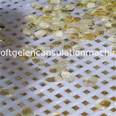 50000 - 70000 Kapsül / H İçin Hayvansız Softgel Otomatik Vgel Kapsülleme Makinesi
