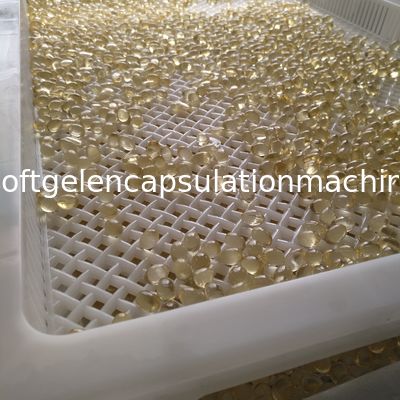 Softgel Kapsüller Plastik Kurutma Tepsileri Yüksek Sıcaklık Rulman Özelleştirilmiş Renk
