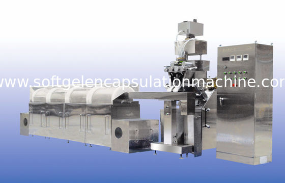 Balık yağı, sarımsak yağı, vatamin dolum için 13kw klasik tasarım Softgel Kapsülleme Makinesi