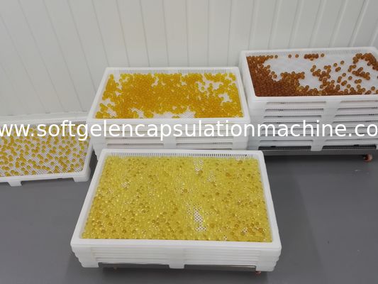 Gıda Sınıfı Plastik Delikli Kurutma Tepsileri 800 * 500 İstiflenebilir