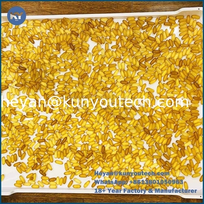 Gıda Sınıfı PP Plastik Kurutma Tepsisi 758x608x40mm