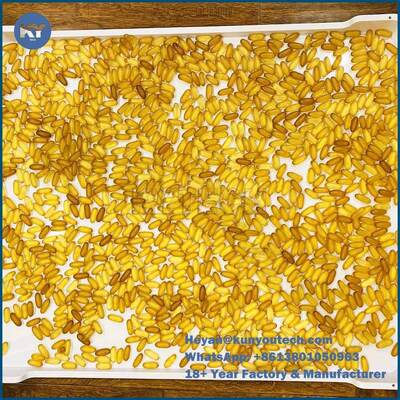 Büyük Boy 78*50*6cm Plastik Kurutma Tepsileri Softgel Anti Yüksek Sıcaklık