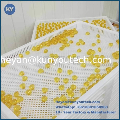 PP ABS Gıda Sınıfı Plastik Kurutma Tepsisi 758x608x40mm