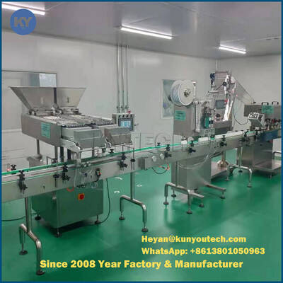 Tablet ve Kapsül Paintball Sayma ve Paketleme Makinası 10bag/Dk