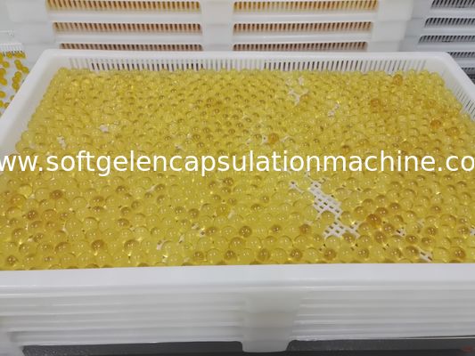 İlaç Plastik Kurutma Tepsileri