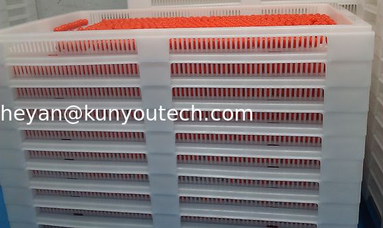 Beyaz Gıda Sınıfı İstiflenebilir Plastik Tepsiler / Soğutma Tepsisi 762*495*55mm