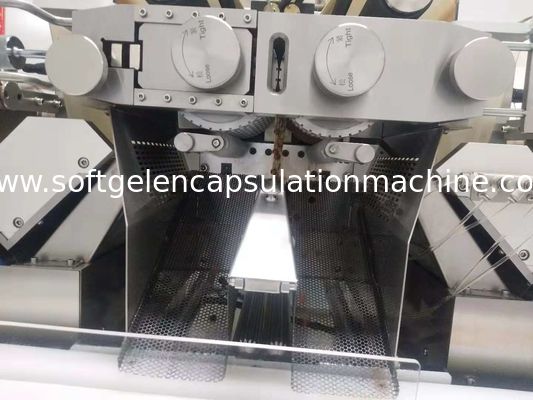 Oval Dikdörtgen Şekil Balık Yağı / Vitamin Kapsülü için Paslanmaz Çelik Softgel Kapsülleme Makinesi