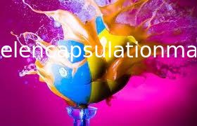 Paintball Yapmak İçin Yüksek Kararlılıklı Paintball Kapsülleme Makinesi