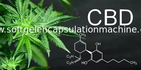 Otomatik Softgel Kapsülleme Makinesi Laboratuvarı, ABD pazarını dolduran CBD yağı için kullanılır
