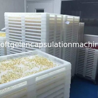 Balık Yağı Softgel için Farmasötik Kapsül Softgel Kapsülleme Makinesi 120000 Adet / H