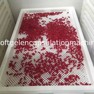 Çeşitli Renkli Plastik Kurutma Tepsileri ve Trolly Gıda Sınıfı KKD Malzemesi 75 * 55 * 5cm