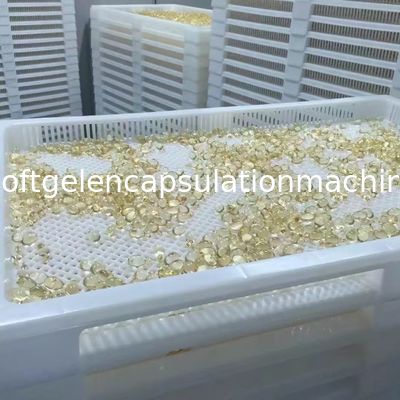 ISO9001 PPE 75*55*5cm Plastik Kurutma Tepsileri