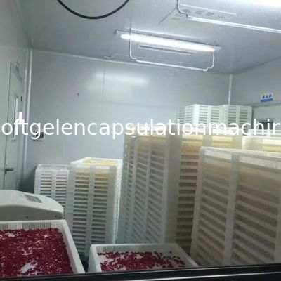Yumuşak Kapsül S403 Yapımı İçin Küçük Softgel Kapsülleme Makinesi Üretim Hattı