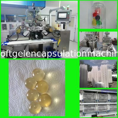 Yağ için 7rpm Ss316 Softgel Kapsülleme Makinesi