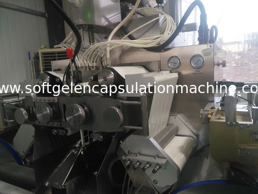 PLC Kontrol Kapsül Üretim Makinası İlaç 1 Yıl Garanti