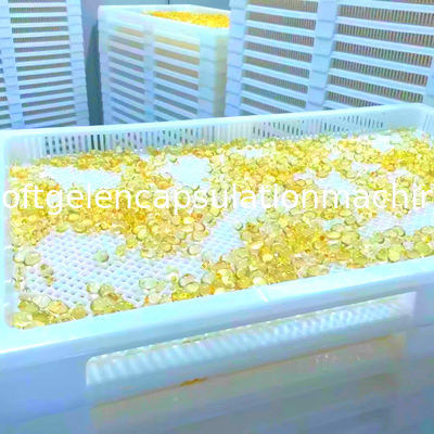 Küçük Başlangıç ​​Balık Yağı 12000pcs/H Softgel Kapsülleme Makinesi