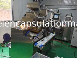 6 RPM Softgel Kapsülasyon Makinesi Balık Yağı ve Pastası 120000 Pcs/H
