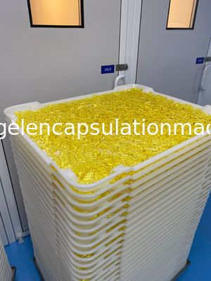Pp Abs Düz Tabanlı Ppe Ce Plastik Kurutma Tepsileri Kapsül Kurutmada 5cm