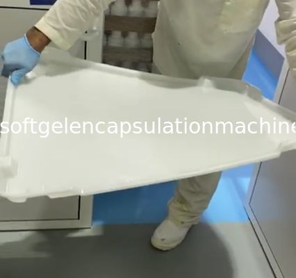 Kapsül Şeker için ISO9001 PPE Plastik Kurutma Tepsileri 75 * 55 * 5cm