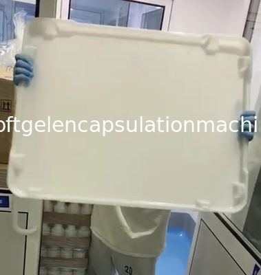 Düz Tabanlı Ppe Plastik Kurutma Tepsileri 75*55*5cm Kapsül Şeker İçin