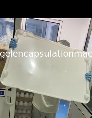 SS316 Kapsül Dolum Makinesi Parçaları Yumuşak Jelatin Kapsülleme Üretimi