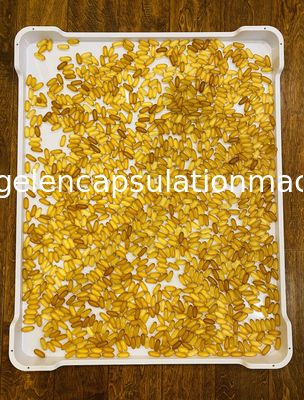 Hafif Plastik Soğutucu Tepsi Gıda Sınıfı İstiflenebilir Düz Tabanlı 762 * 600 * 55mm