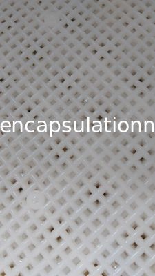 Paintball / Softgel Kapsül için Gıda Sınıfı Plastik Kurutma Tepsileri Pp Malzemesi