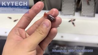 Balık Şekilli Servo Softgel Kapsülleme Makinesi